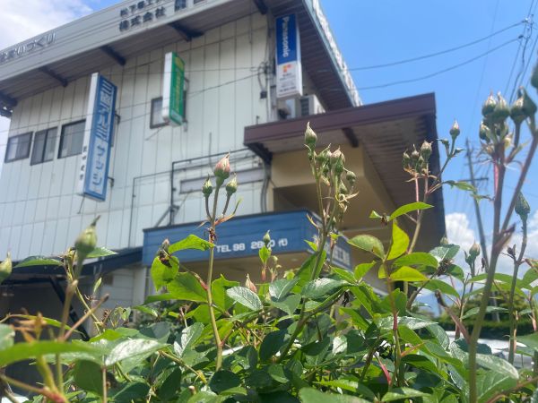 2026-05-13_薔薇つぼみ_3.jpg