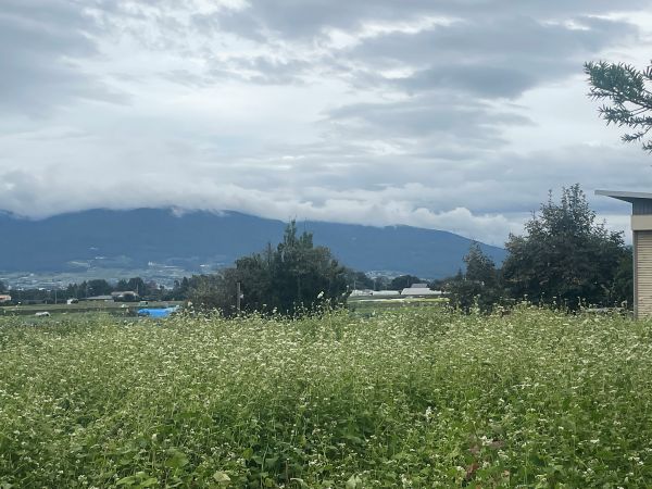 R8.9.15_そば花_4.jpg