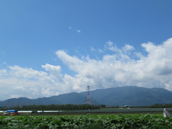 H29.8.11③.JPG