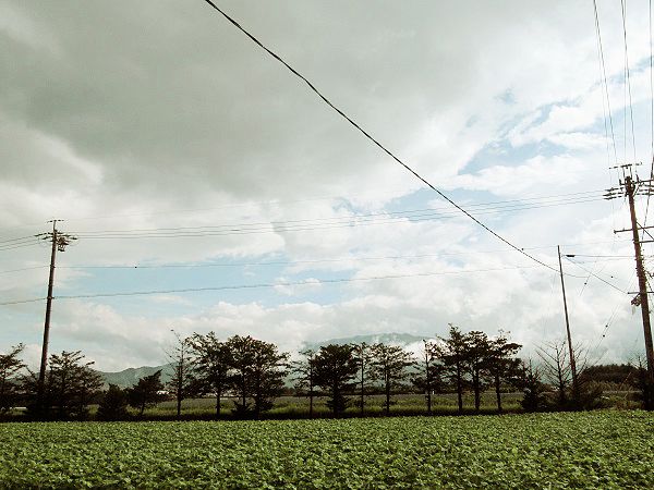H29.8.18④.jpg
