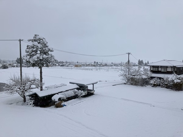 R7.3.19 大雪①.jpg