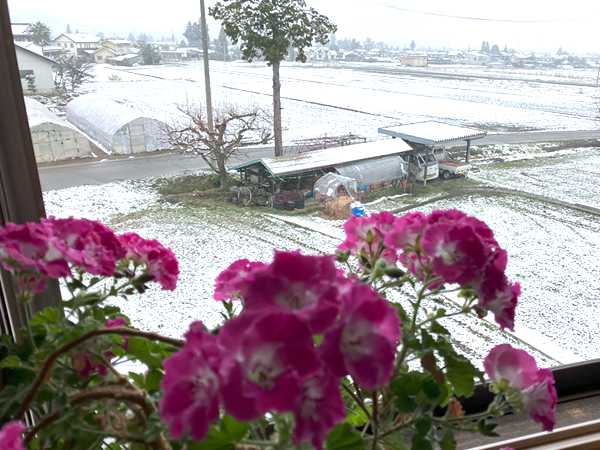 R7.4.1雪.png