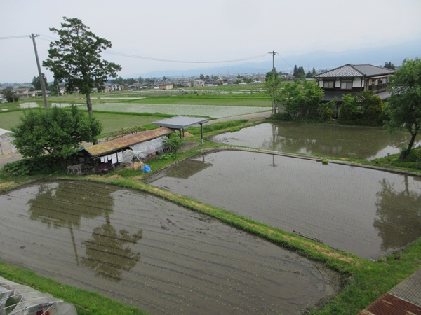 R7.5.22田植え①.JPG