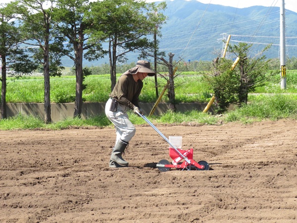R7.7.26 そば種蒔き②.JPG