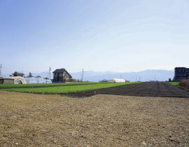 land01_z022.jpg