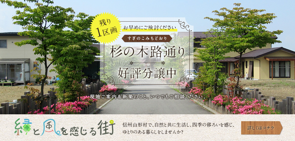 山形村「杉の木路通り」好評分譲中