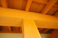 DSC026811.jpg